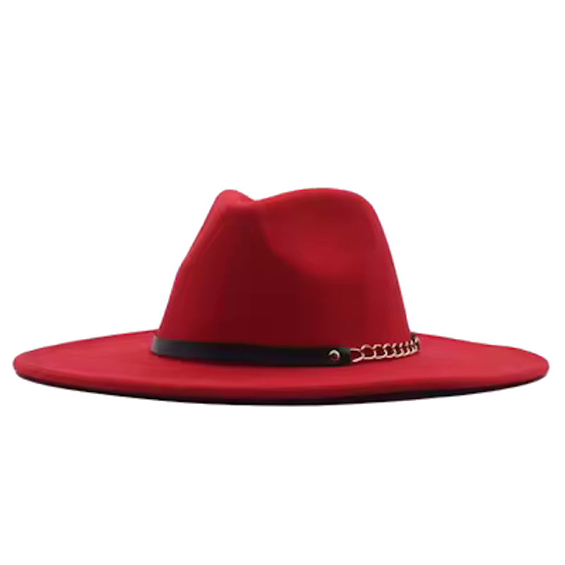 LUCIA Wide Brim Felt Fedora