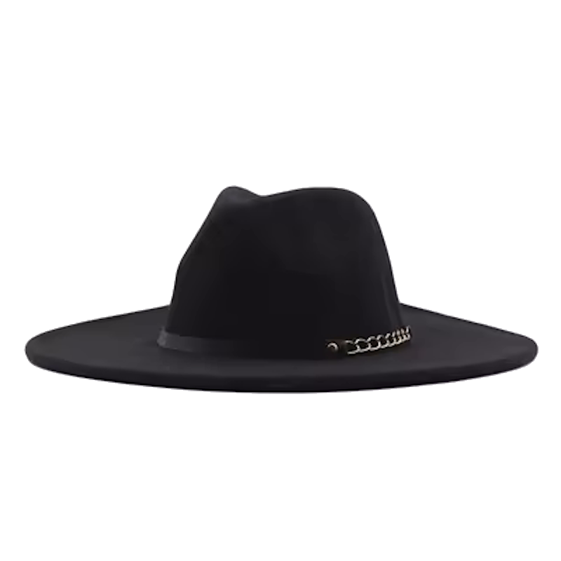 LUCIA Wide Brim Felt Fedora