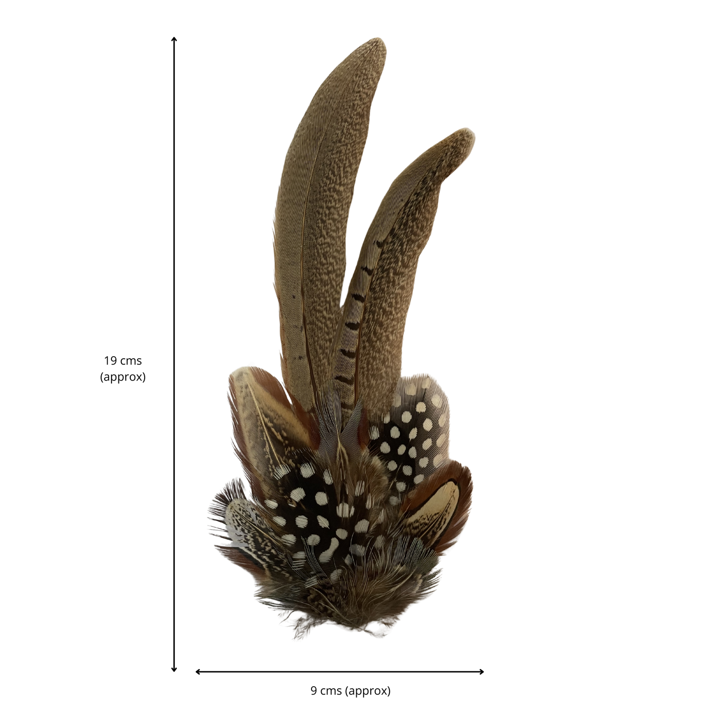 ARMITAGE Genuine Pheasant Feather Hat Plume with Brooch Pin