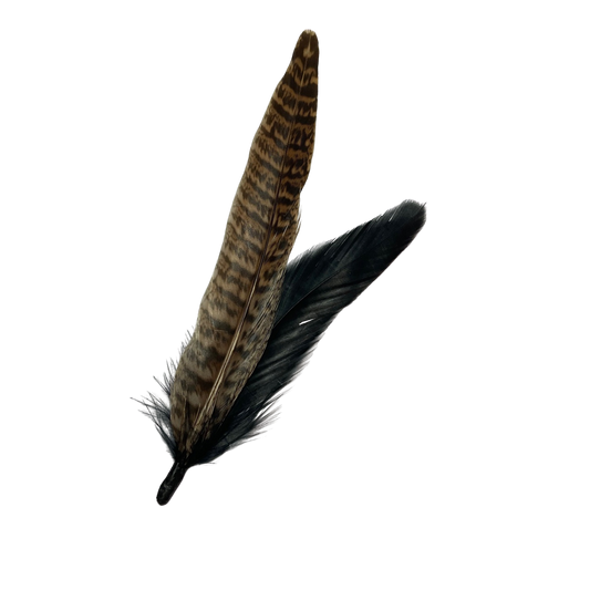 BURFORD Genuine Pheasant Feather Hat Plume (NO CLIP)