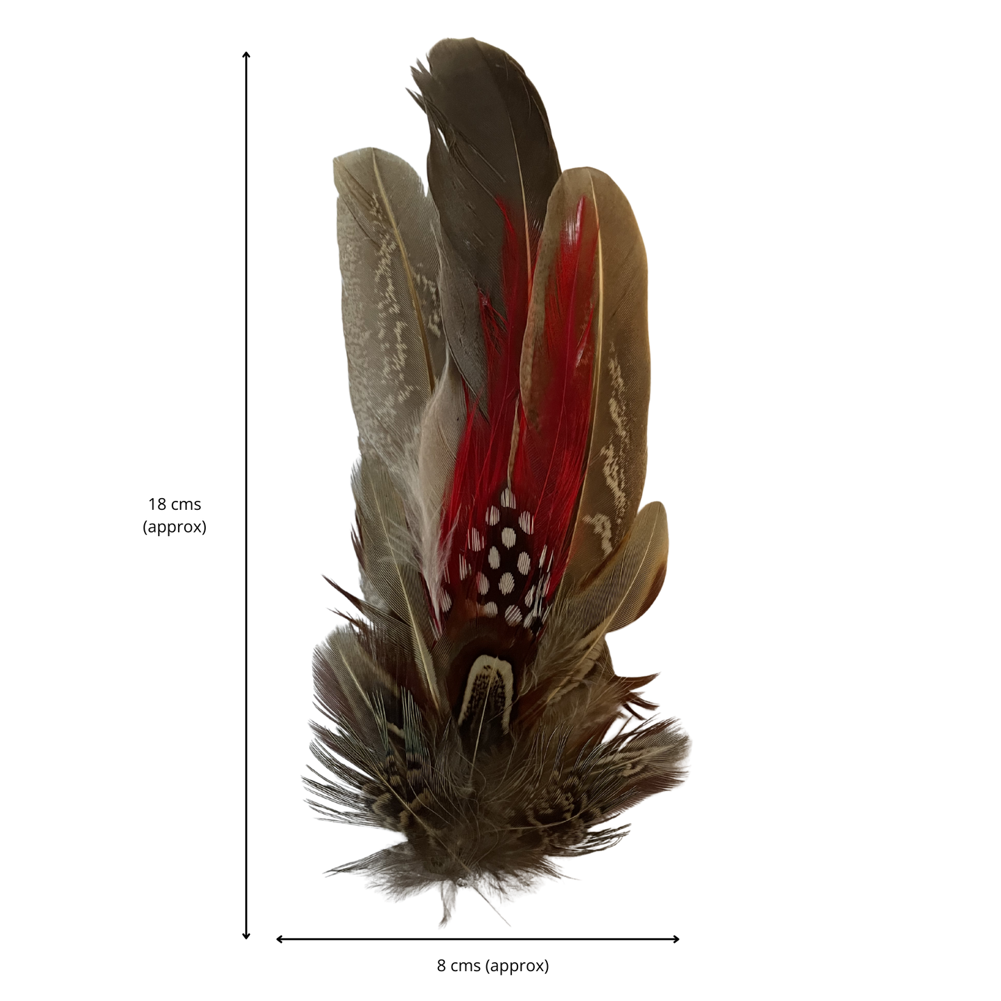 CARLTON Genuine Pheasant Feather Hat Plume with Brooch Pin