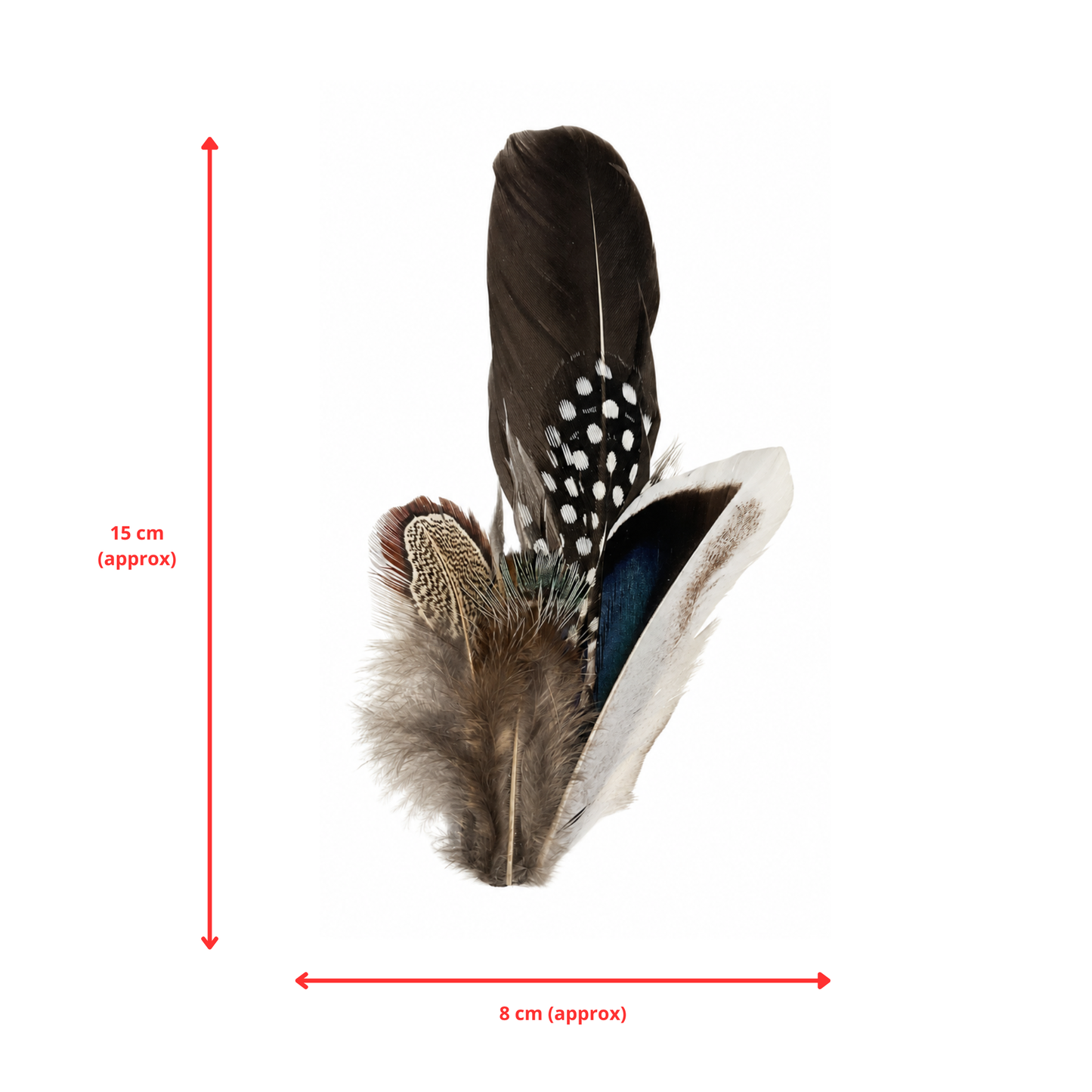 CLOVELLY Natural Feather Hat Plume with Brooch Pin
