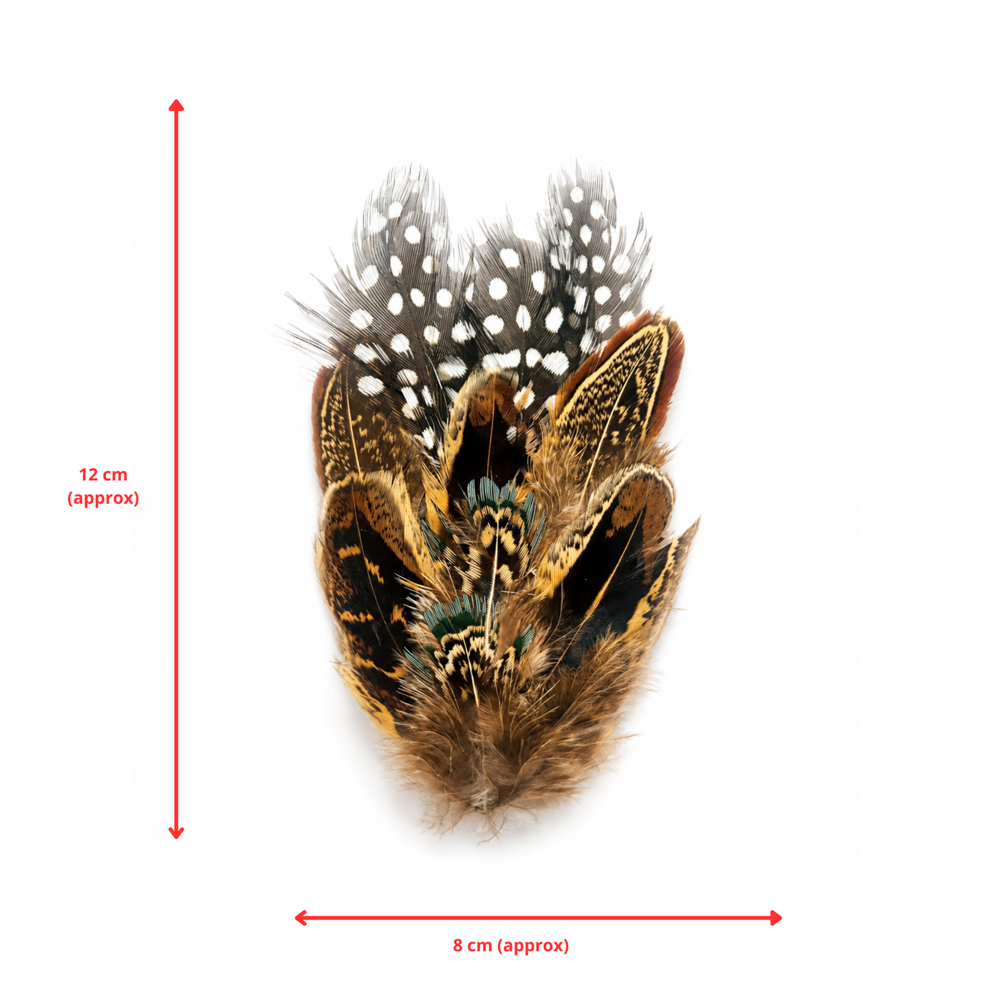 COOMBE Natural Feather Hat Plume with Brooch Pin