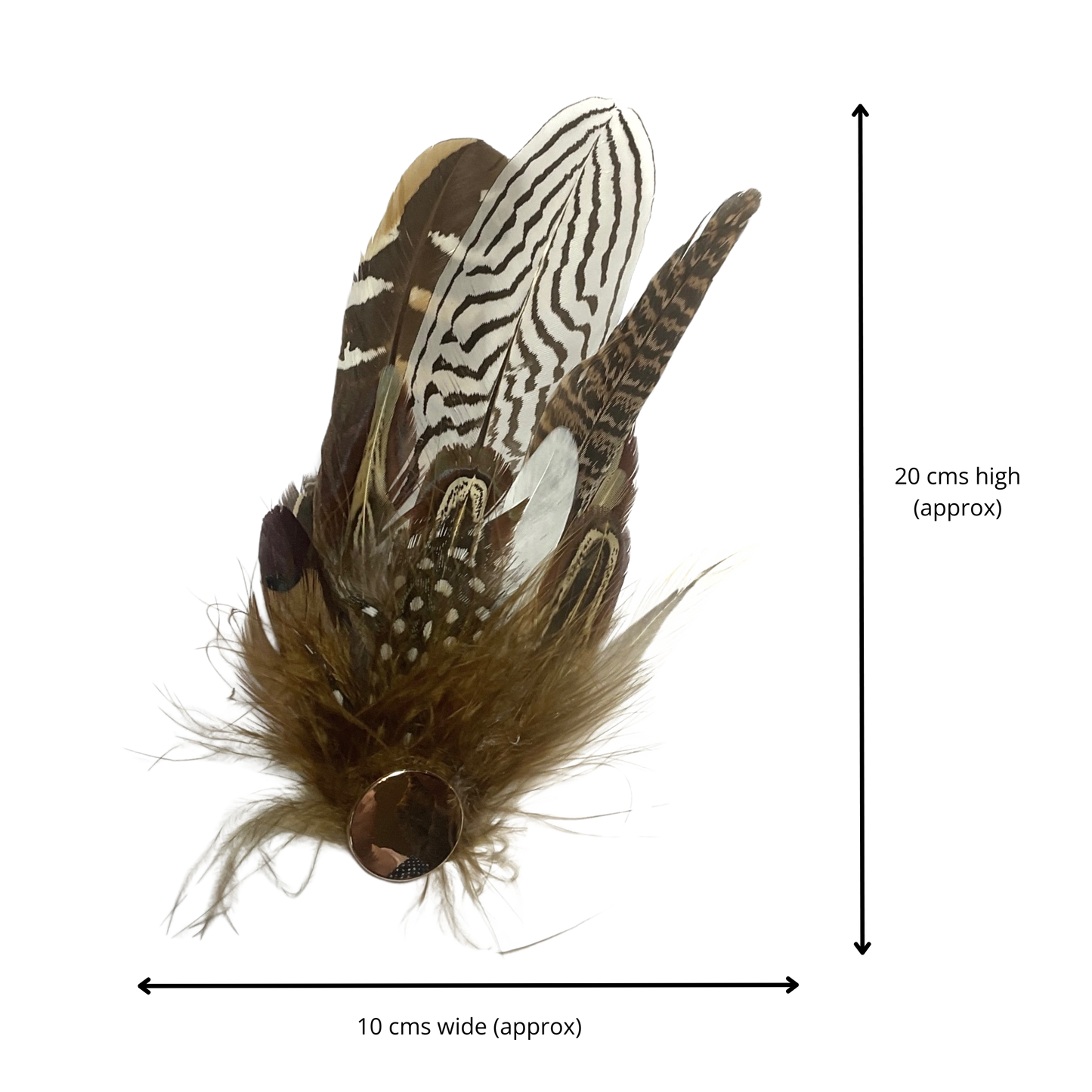 DERBY Genuine Pheasant Feather Hat Plume with Brooch Pin