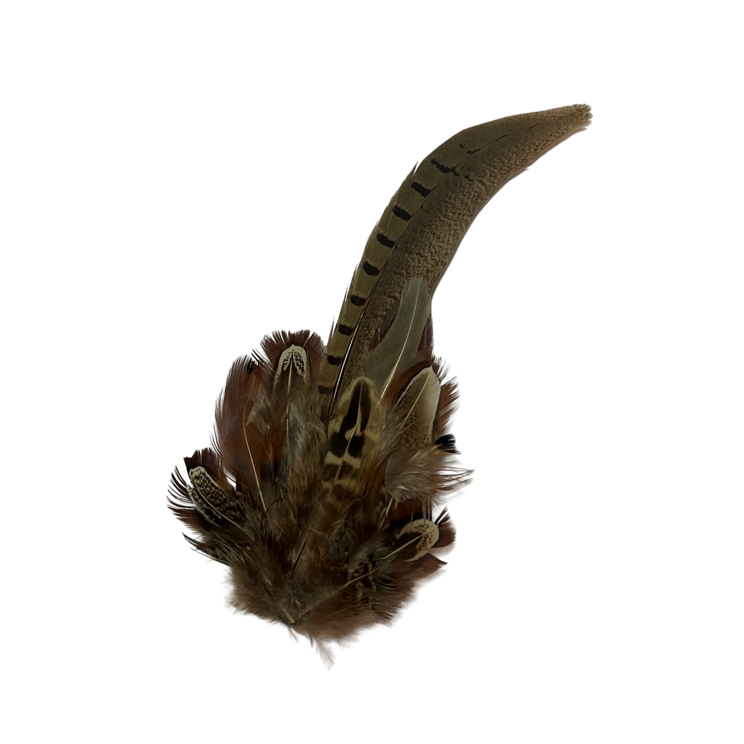 HARROW Genuine Pheasant Feather Hat Plume