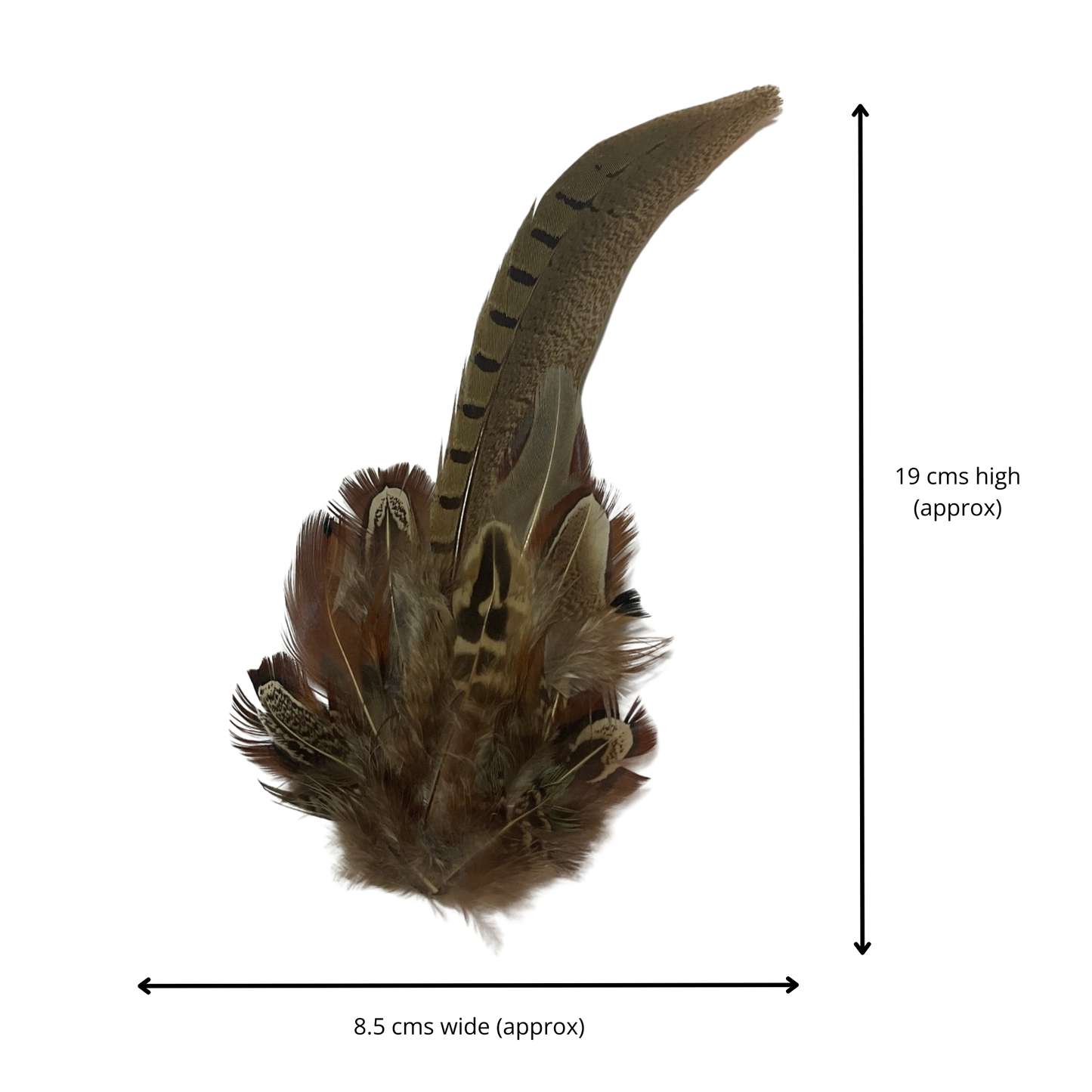 HARROW Genuine Pheasant Feather Hat Plume with Brooch Pin