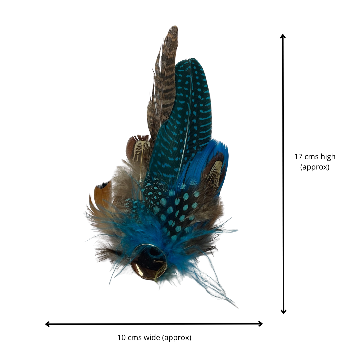 OXFORD Genuine Pheasant Feather Hat Plume