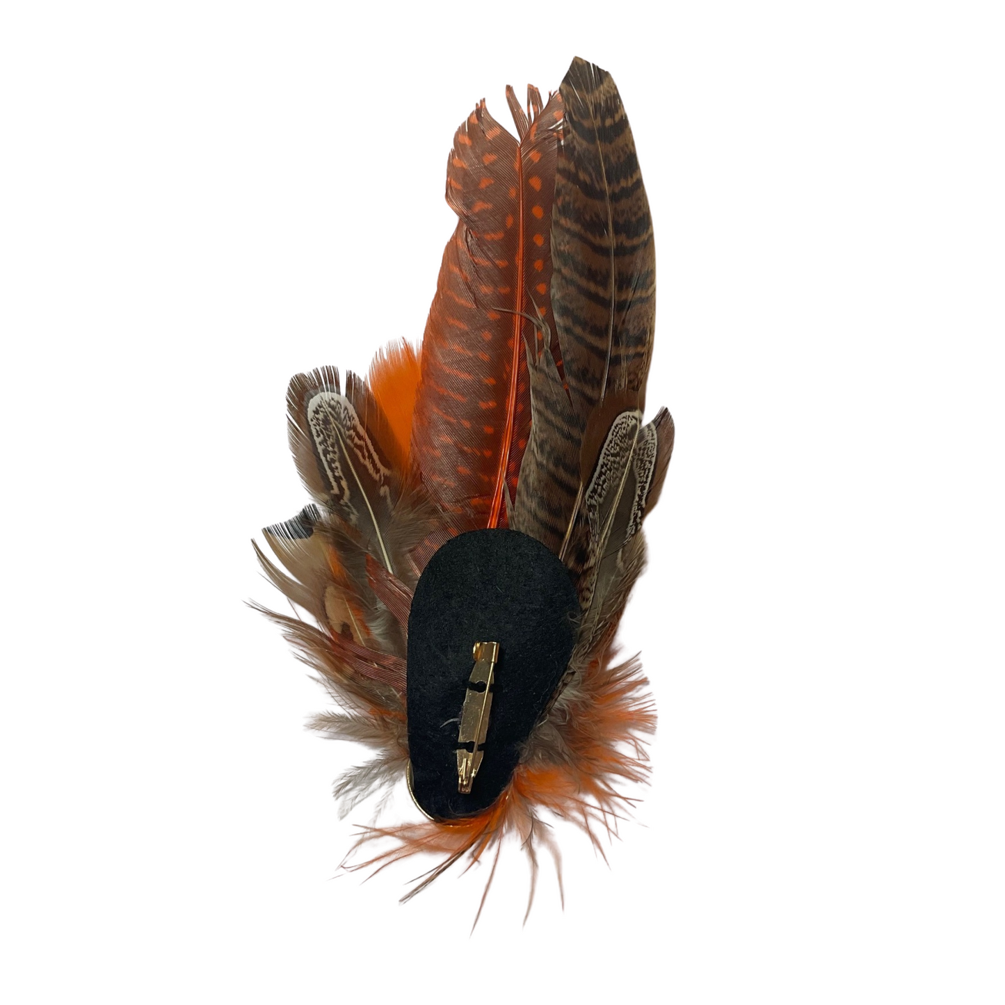 OXFORD Genuine Pheasant Feather Hat Plume