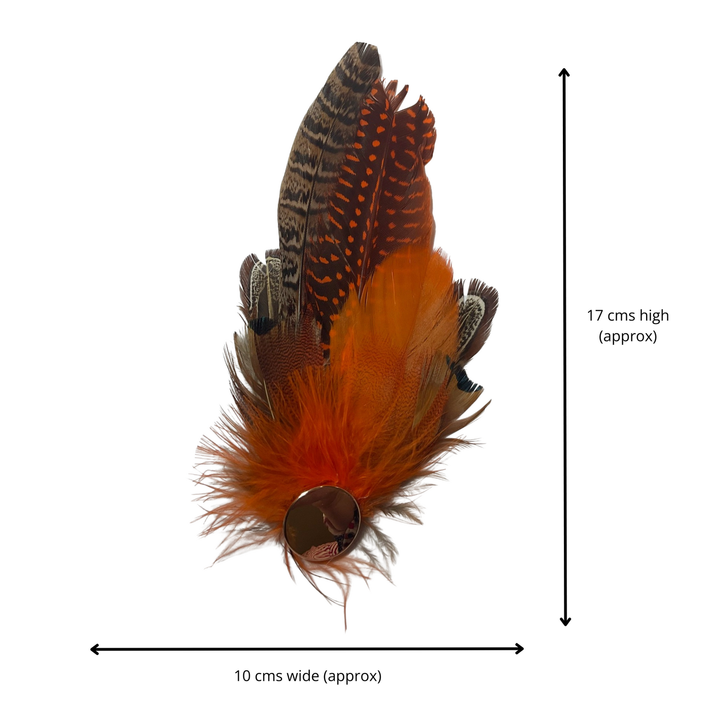 OXFORD Genuine Pheasant Feather Hat Plume