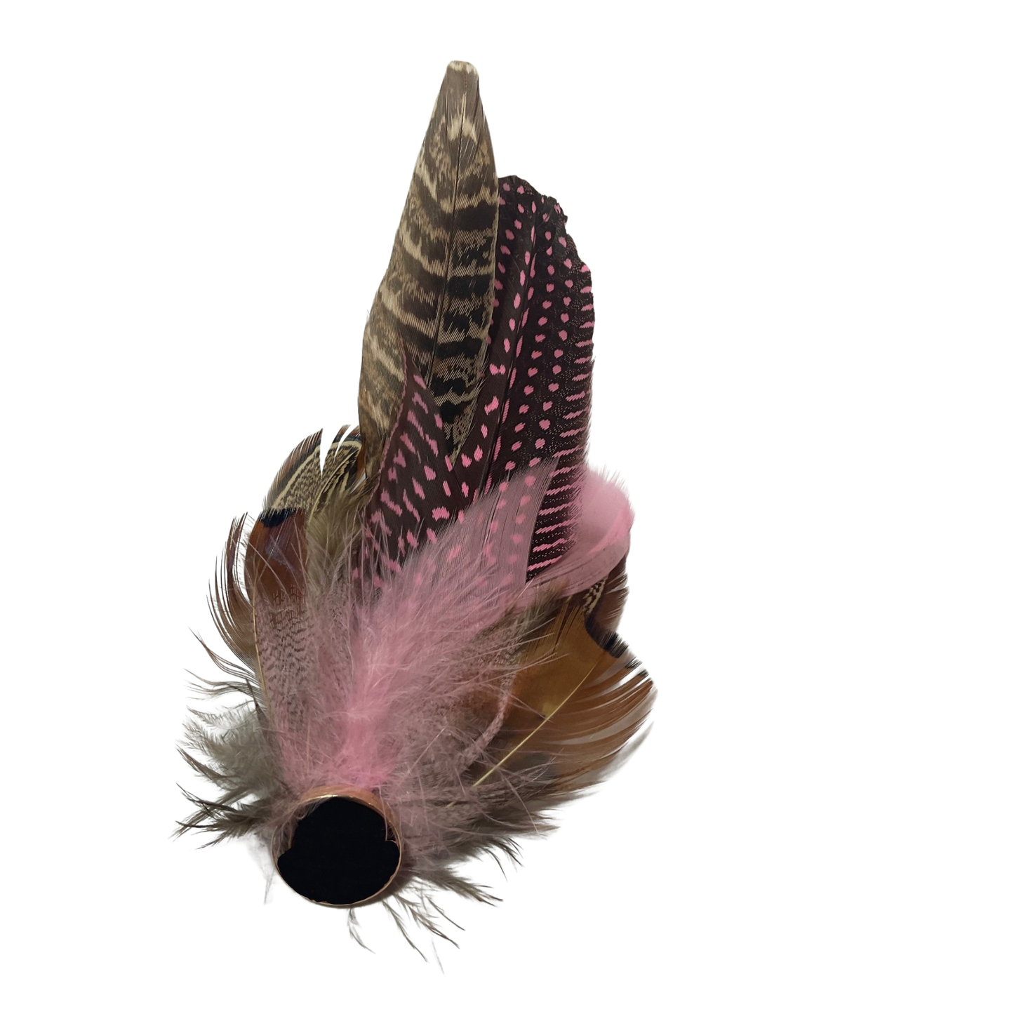 OXFORD Genuine Pheasant Feather Hat Plume