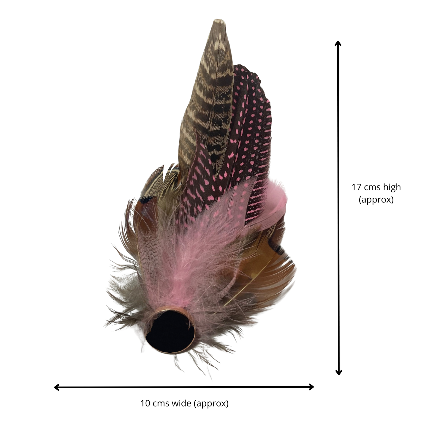 OXFORD Genuine Pheasant Feather Hat Plume