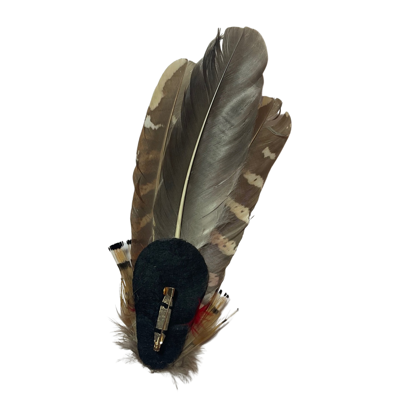 PERTH Genuine Pheasant Feather Hat Plume