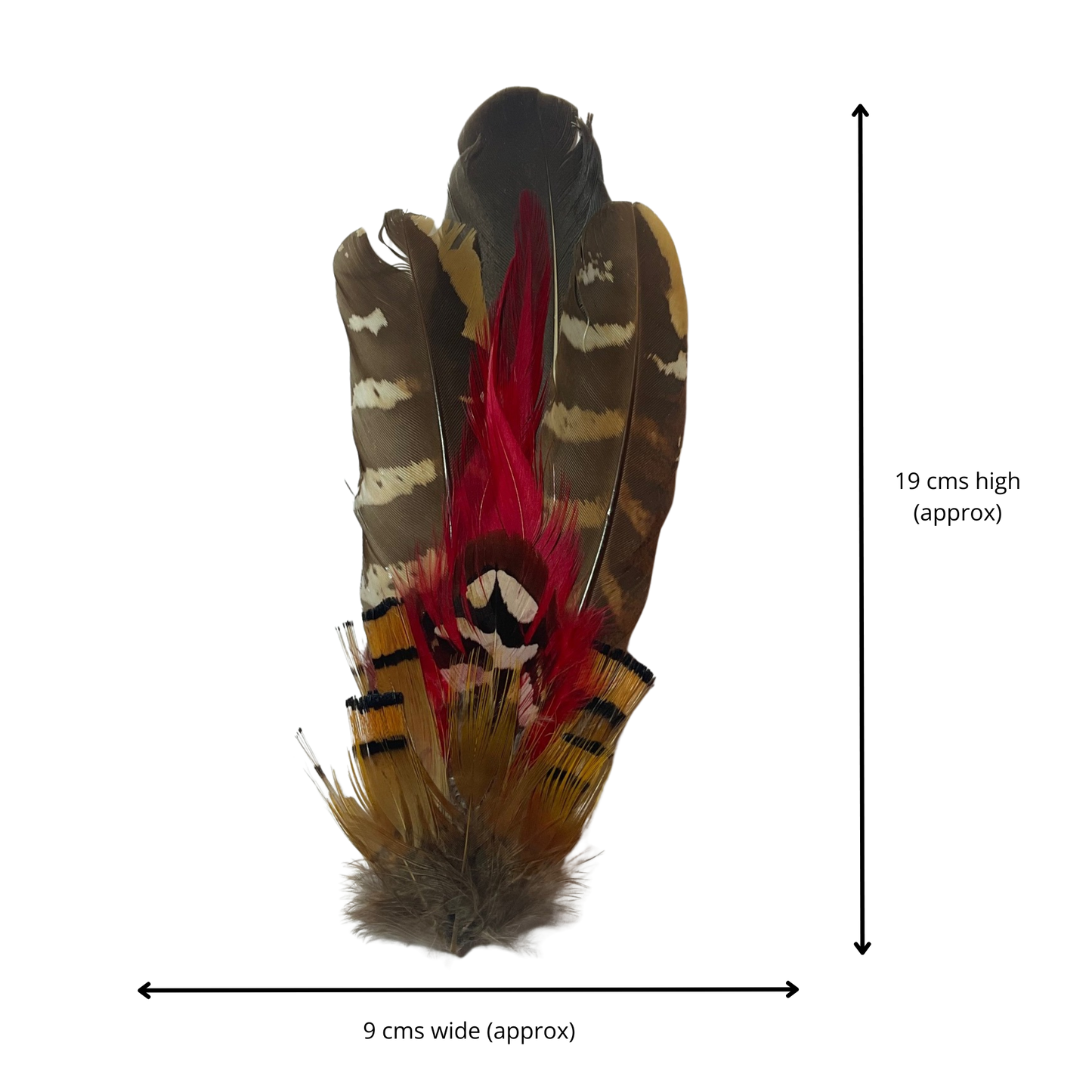PERTH Genuine Pheasant Feather Hat Plume with Brooch Pin