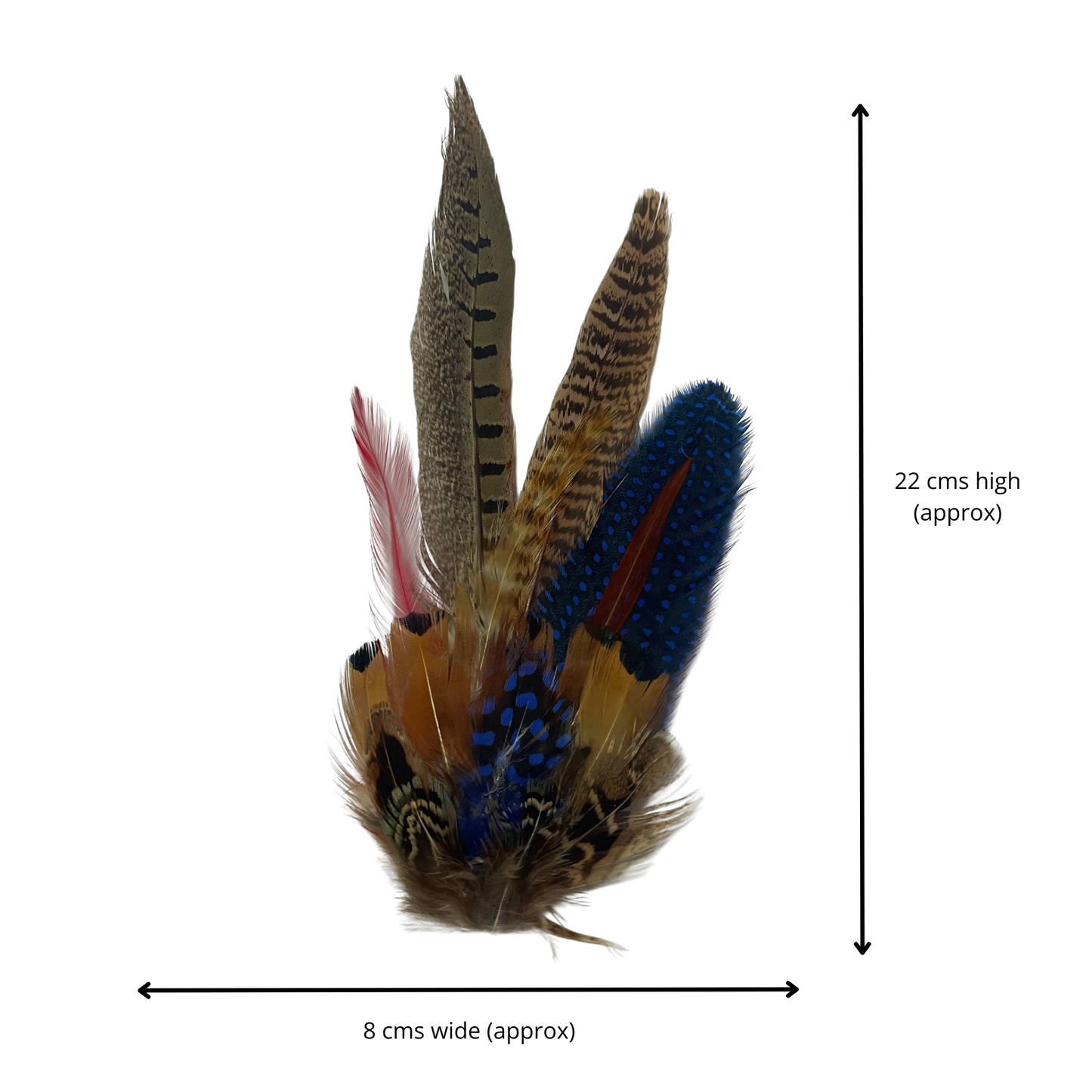 STIRLING Genuine Pheasant Feather Hat Plume