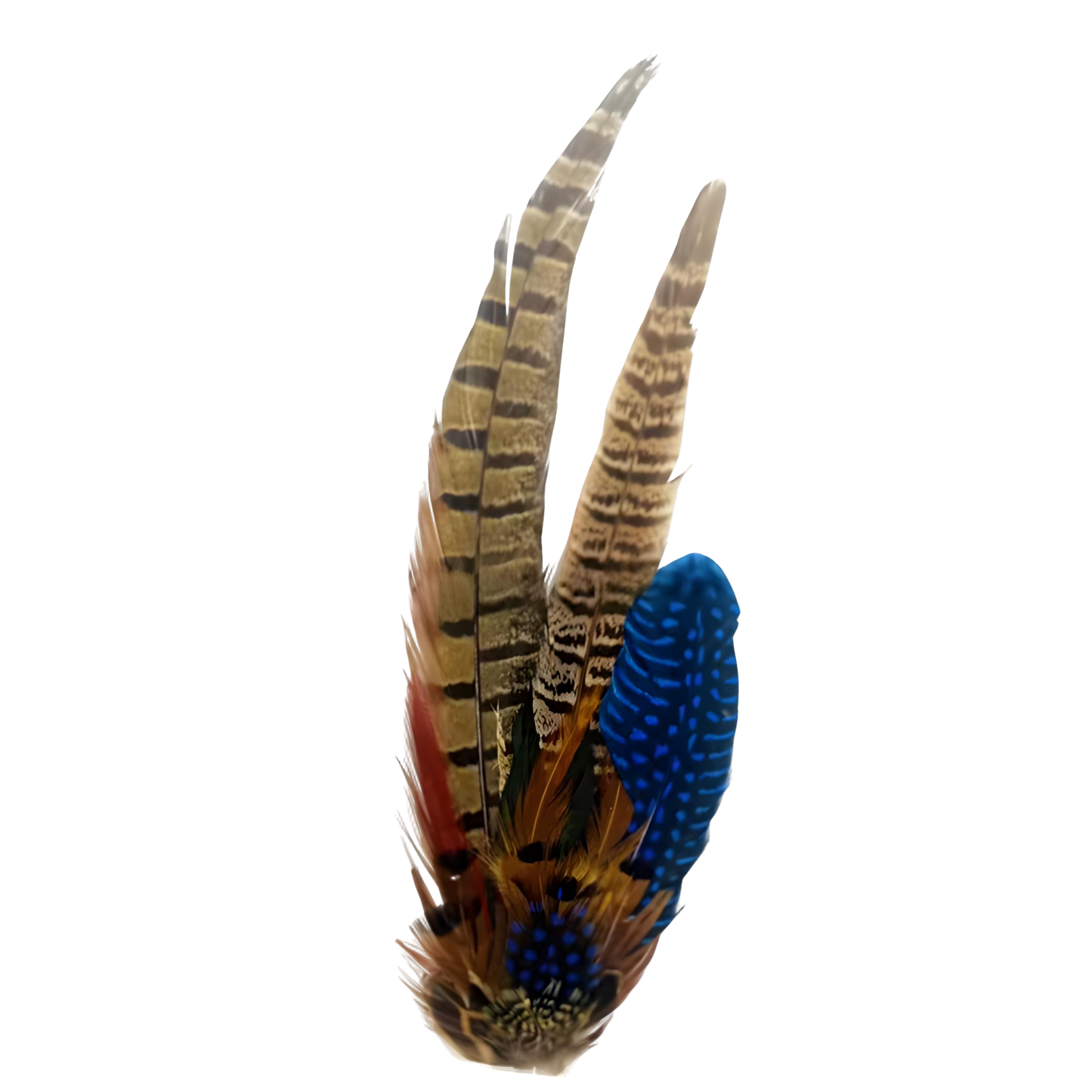 STIRLING Genuine Pheasant Feather Hat Plume with Brooch Pin