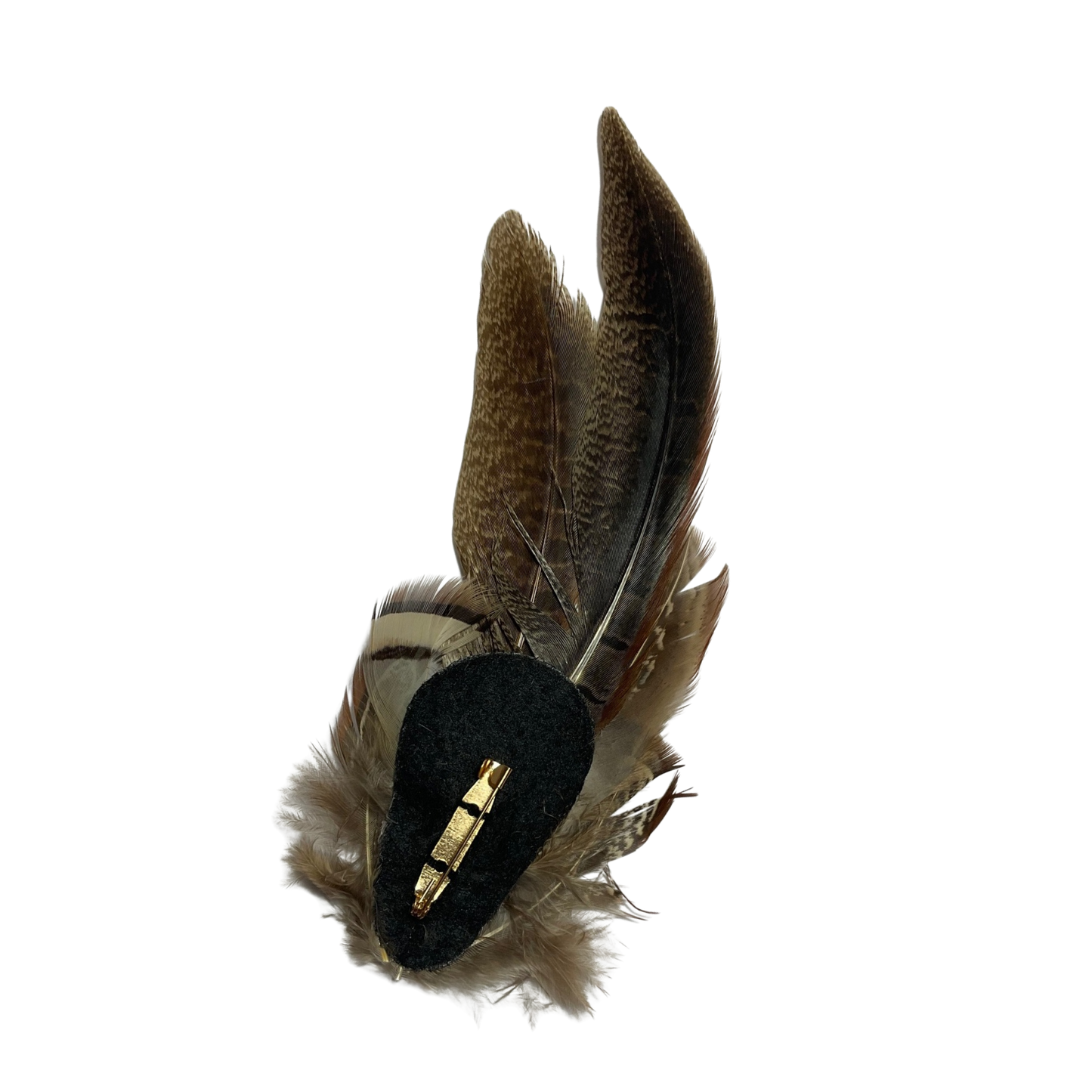 TENBY Genuine Pheasant Feather Hat Plume