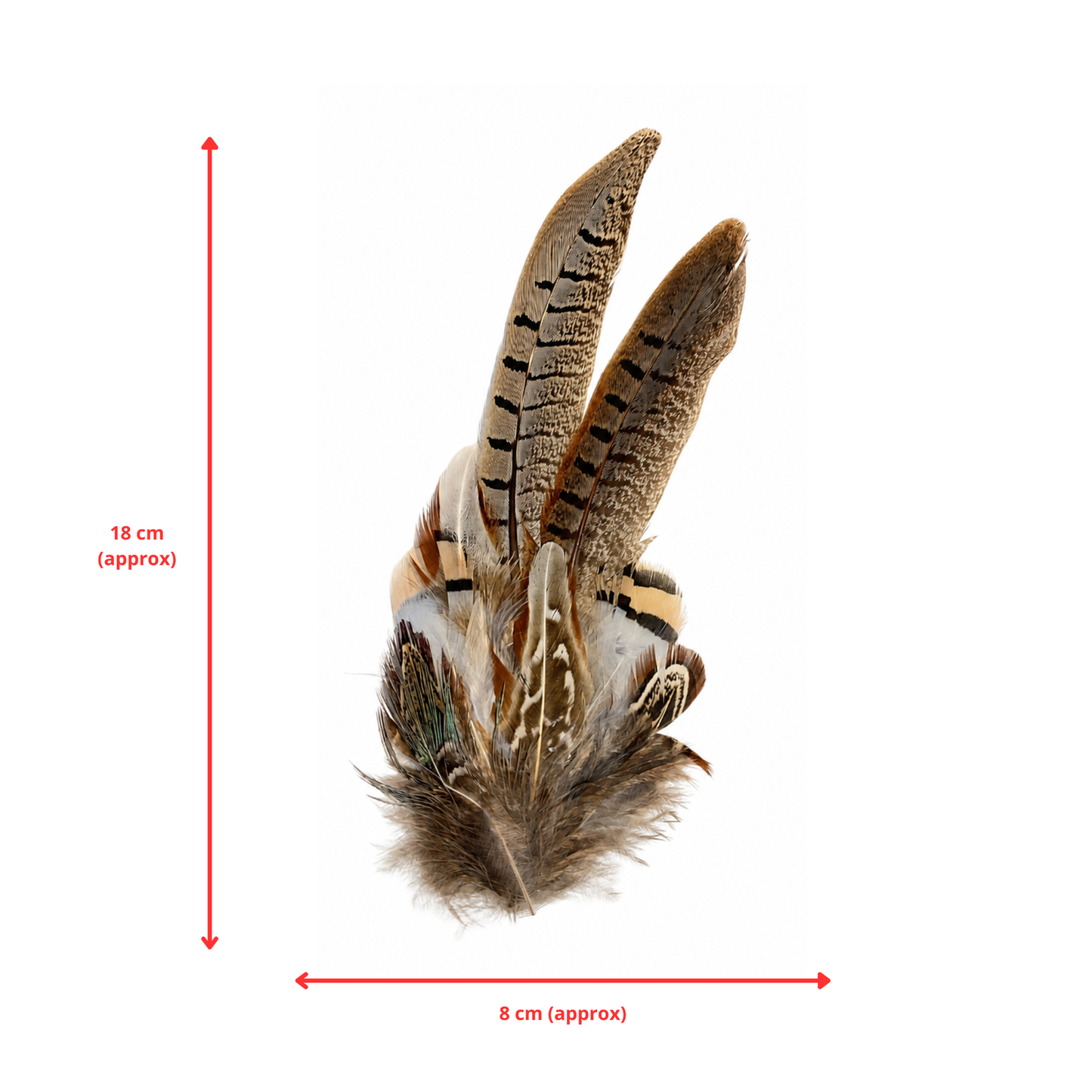 TENBY Natural Feather Hat Plume with Brooch Pin