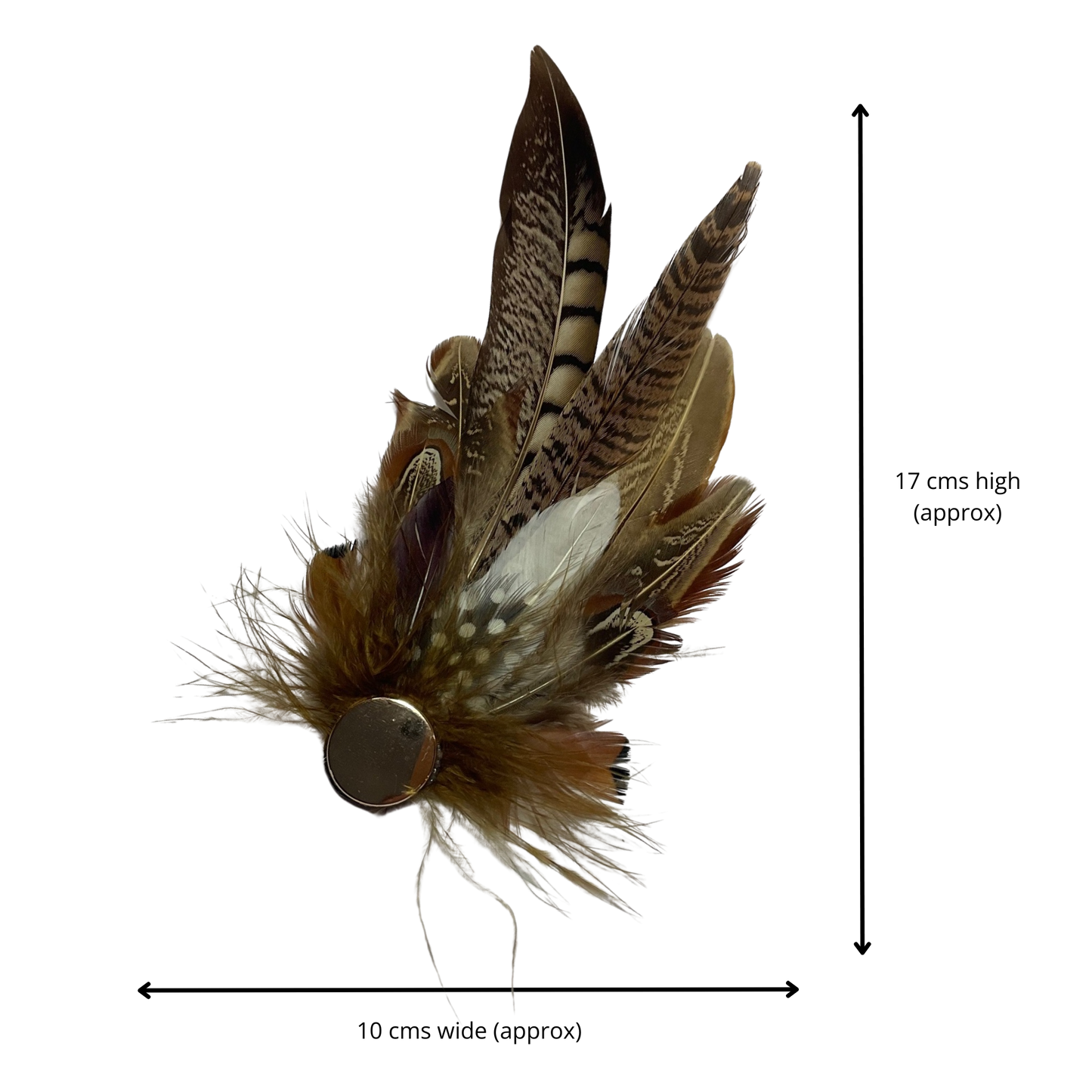 YORK Genuine Pheasant Feather Hat Plume with Brooch Pin