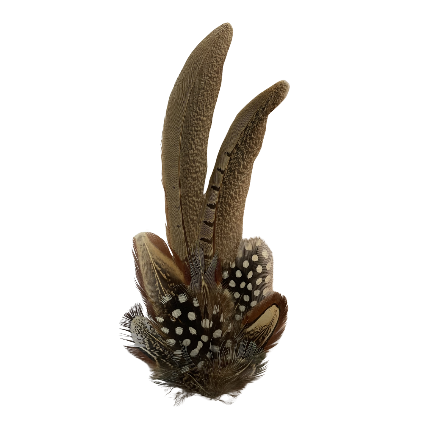ARMITAGE Genuine Pheasant Feather Hat Plume with Brooch Pin
