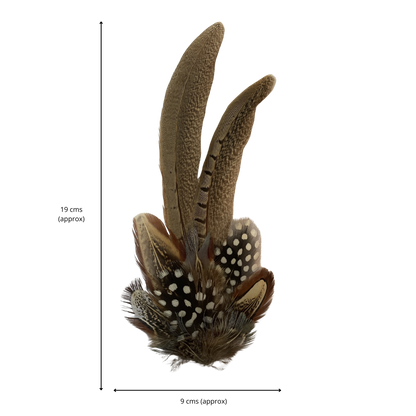 ARMITAGE Genuine Pheasant Feather Hat Plume with Brooch Pin
