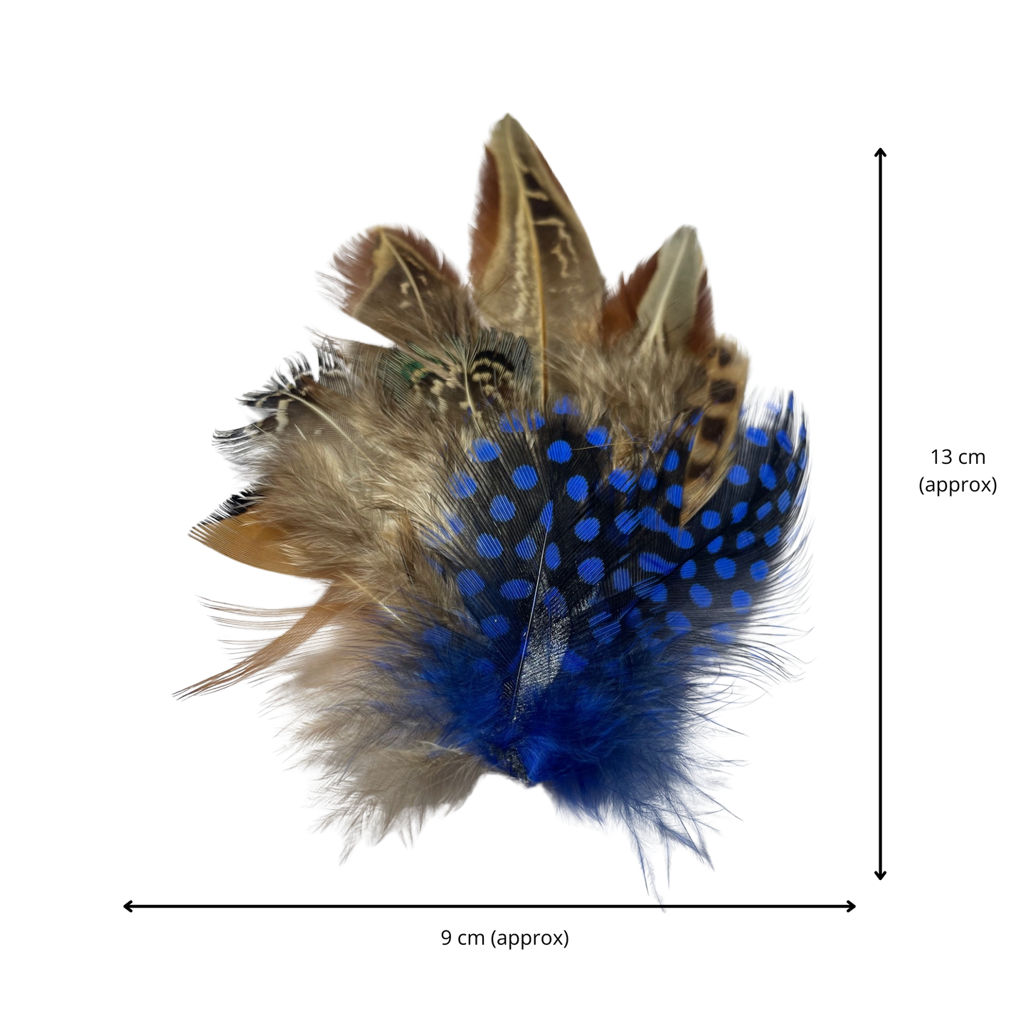 BELPER Genuine Pheasant Feather Hat Plume with Brooch Pin