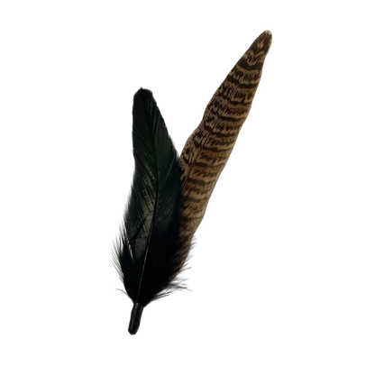 BURFORD Genuine Pheasant Feather Hat Plume (NO CLIP)