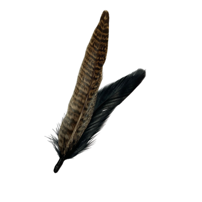 BURFORD Genuine Pheasant Feather Hat Plume (NO CLIP)