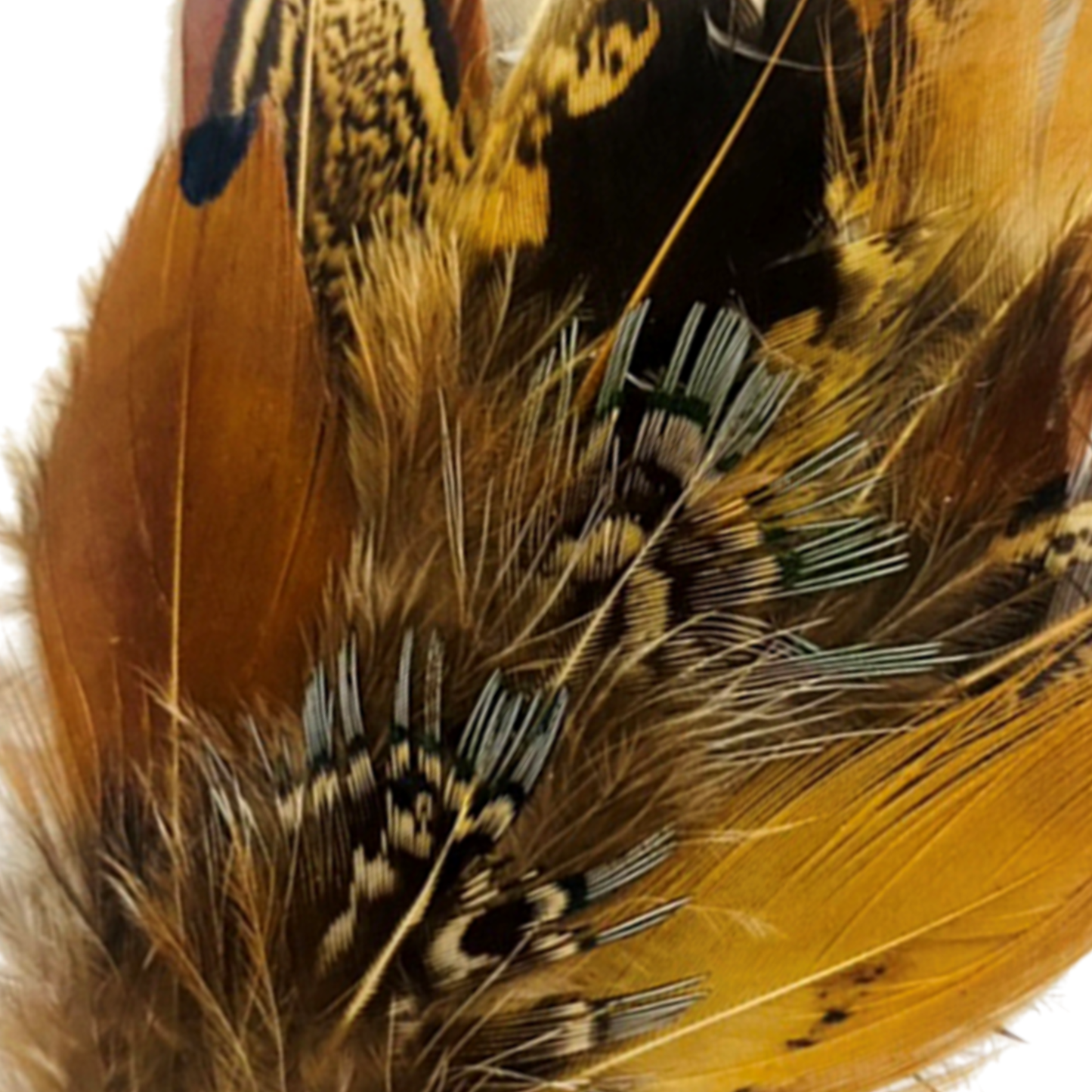 BURNIE Natural Feather Hat Plume with Brooch Pin