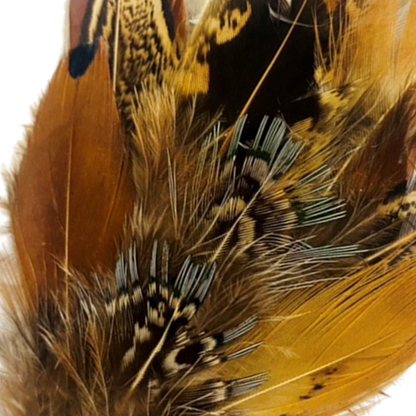 BURNIE Natural Feather Hat Plume with Brooch Pin