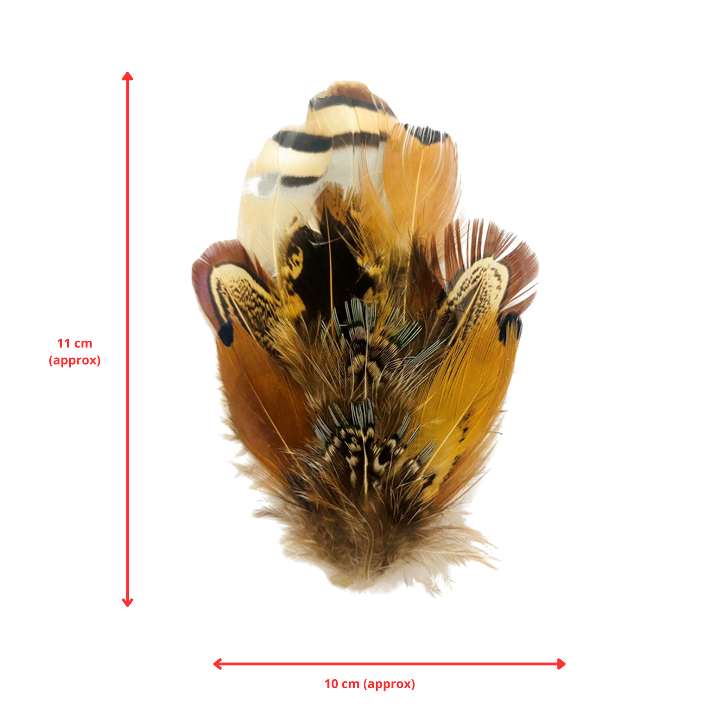 BURNIE Natural Feather Hat Plume with Brooch Pin