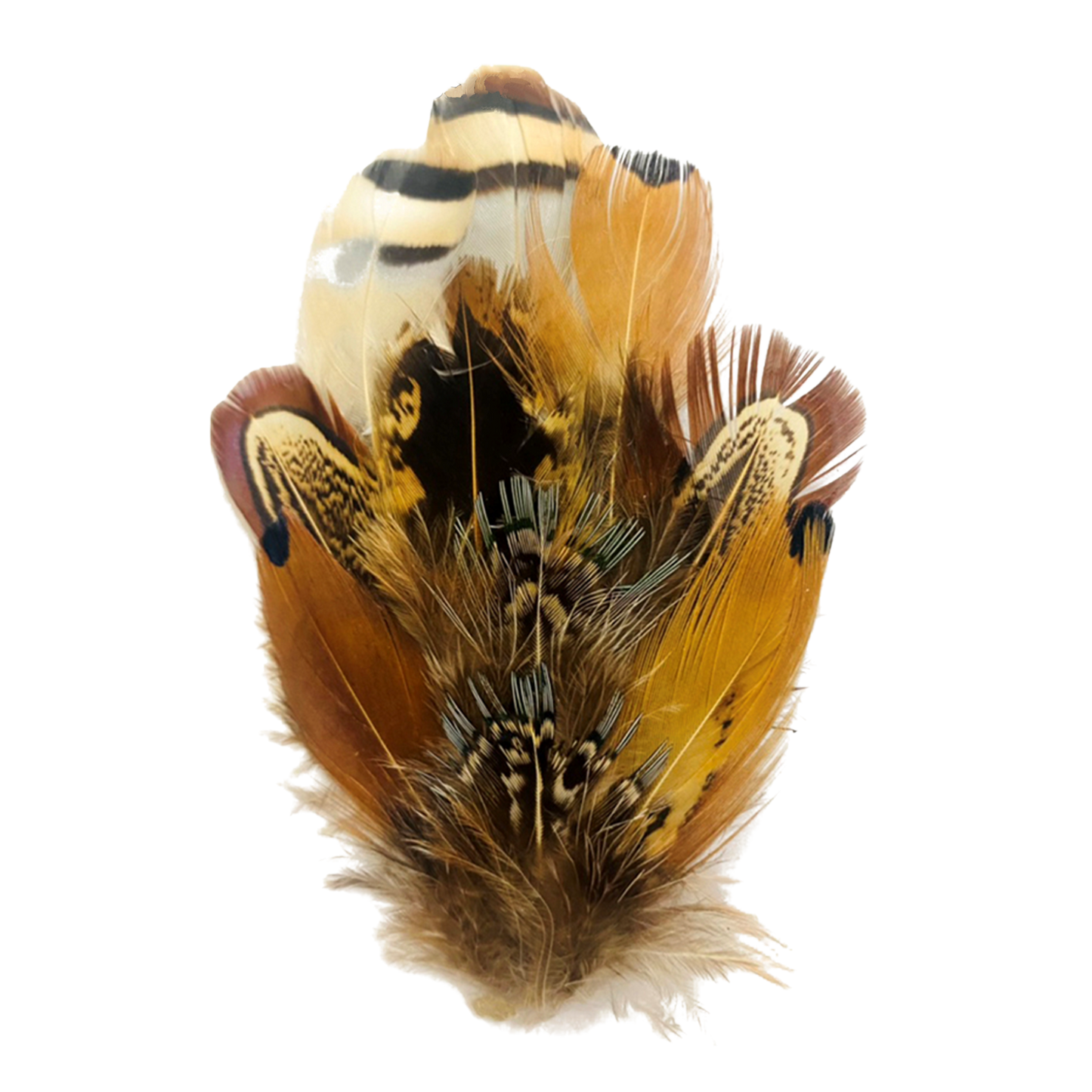 BURNIE Genuine Pheasant Feather Hat Plume with Brooch Pin