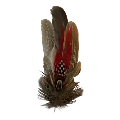 CARLTON Genuine Pheasant Feather Hat Plume with Brooch Pin