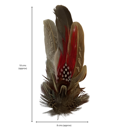 CARLTON Genuine Pheasant Feather Hat Plume with Brooch Pin