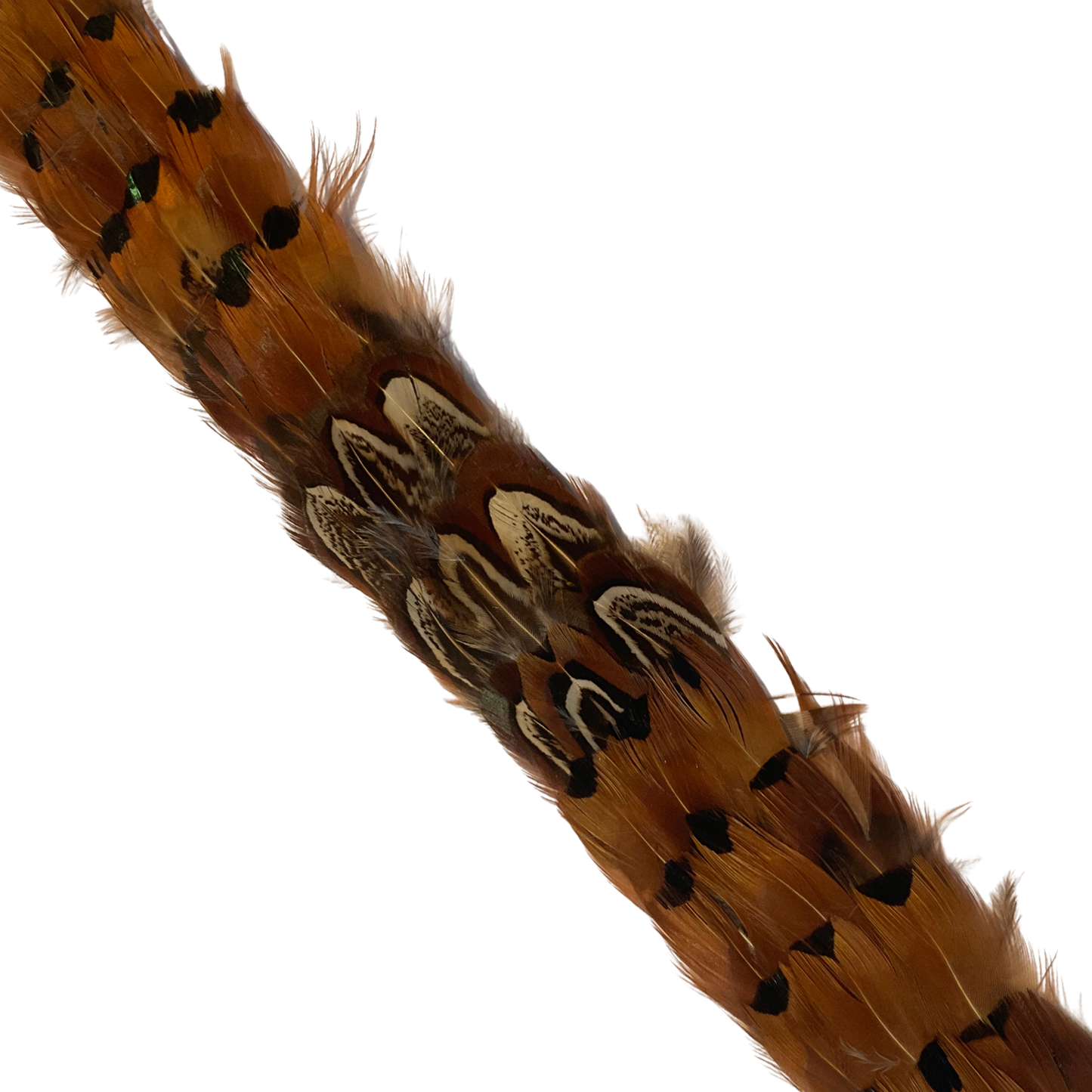 DAWSON Pheasant Feather Hat Band - Fully Adjustable (hat not included)