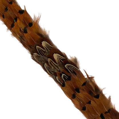 DAWSON Pheasant Feather Hat Band - Fully Adjustable (hat not included)