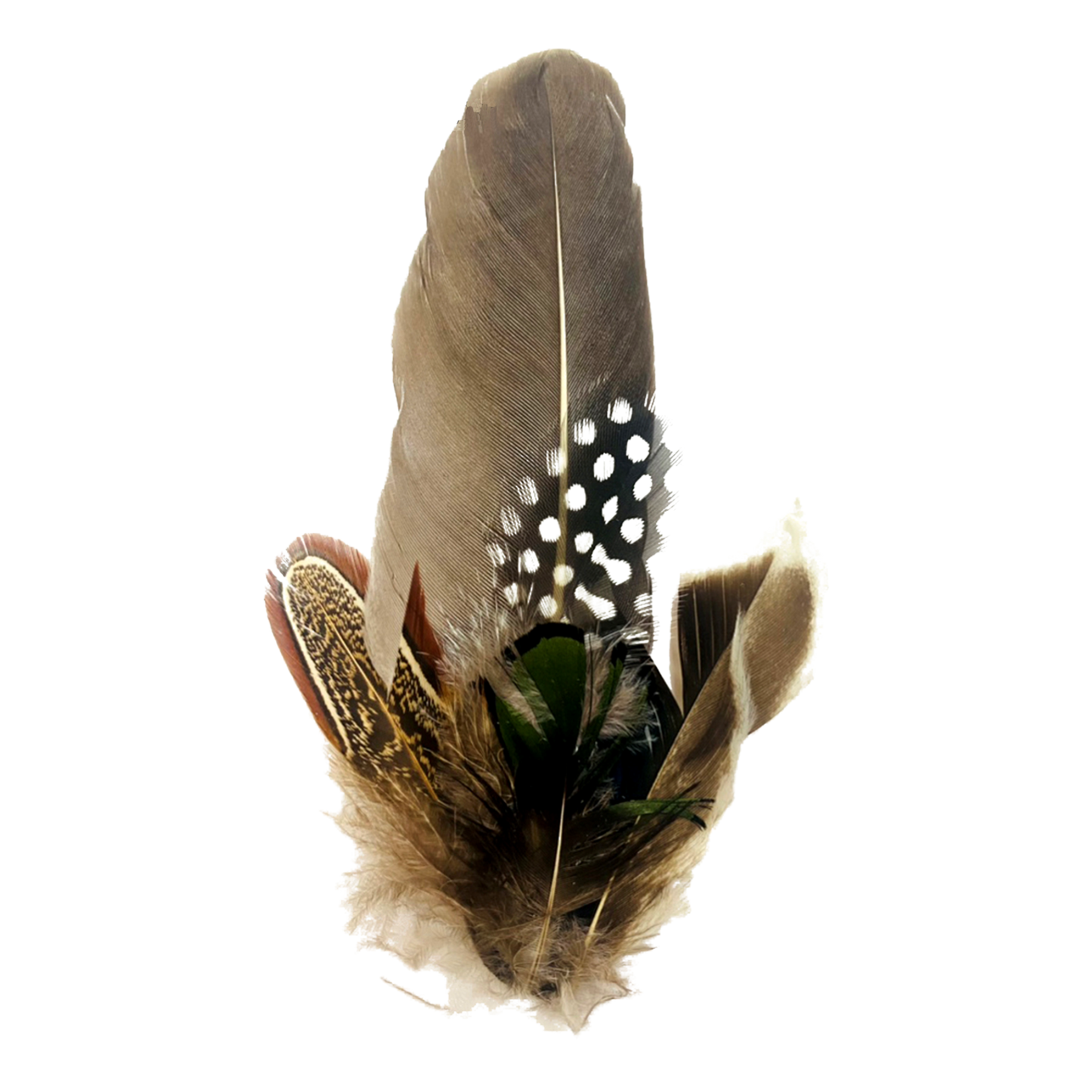 CLOVELLY Genuine Pheasant Feather Hat Plume with Brooch Pin