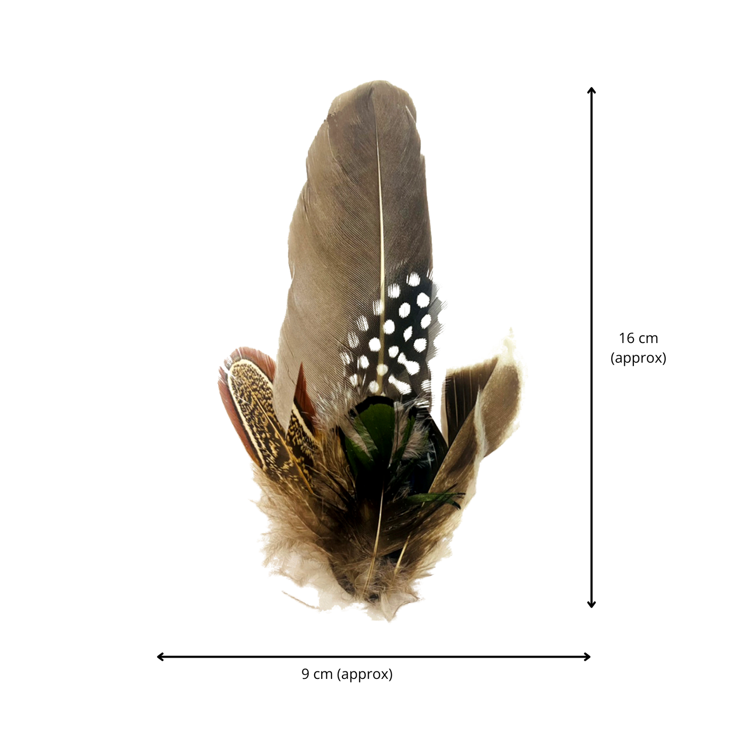 CLOVELLY Genuine Pheasant Feather Hat Plume with Brooch Pin