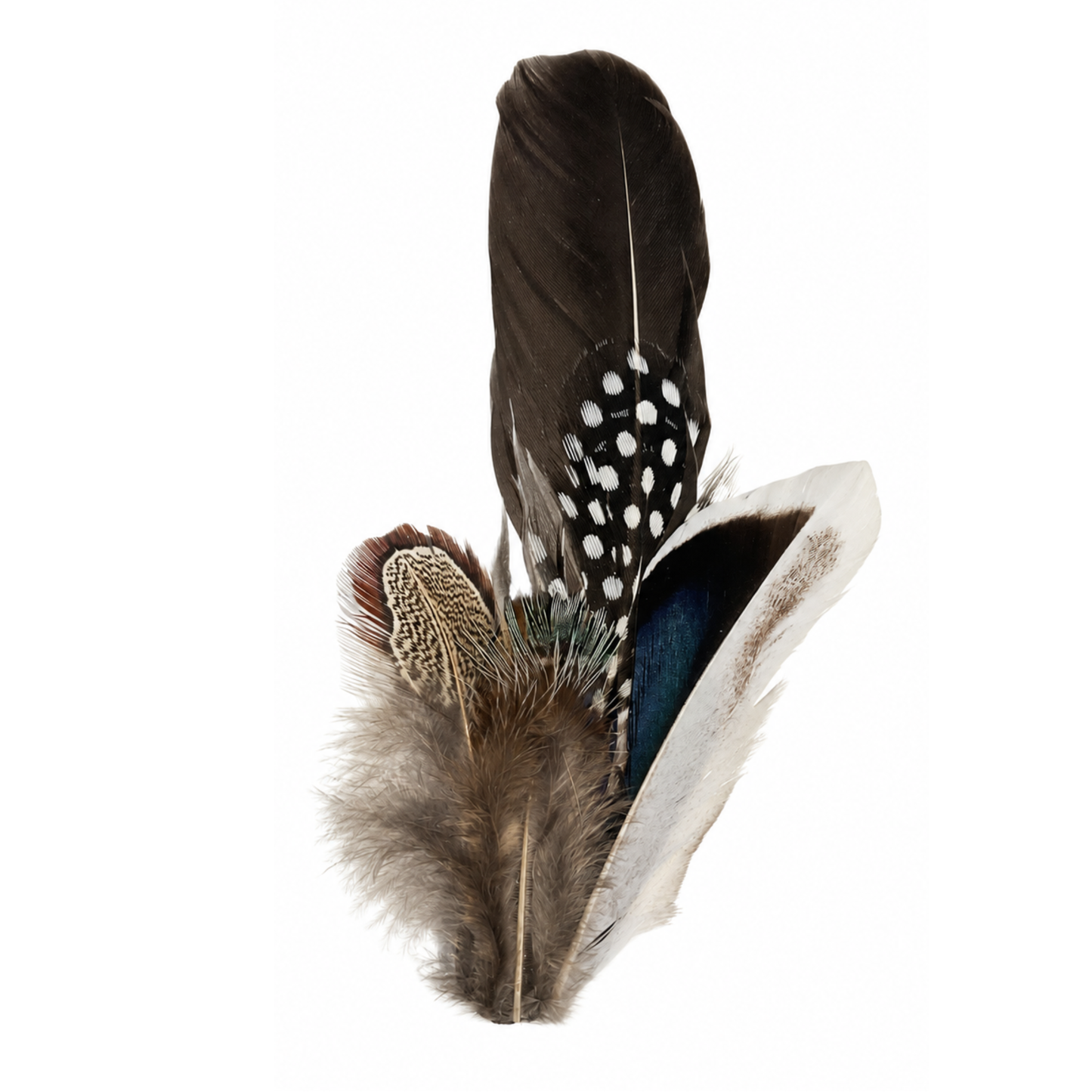 CLOVELLY  Natural Feather Hat Plume with Brooch Pin