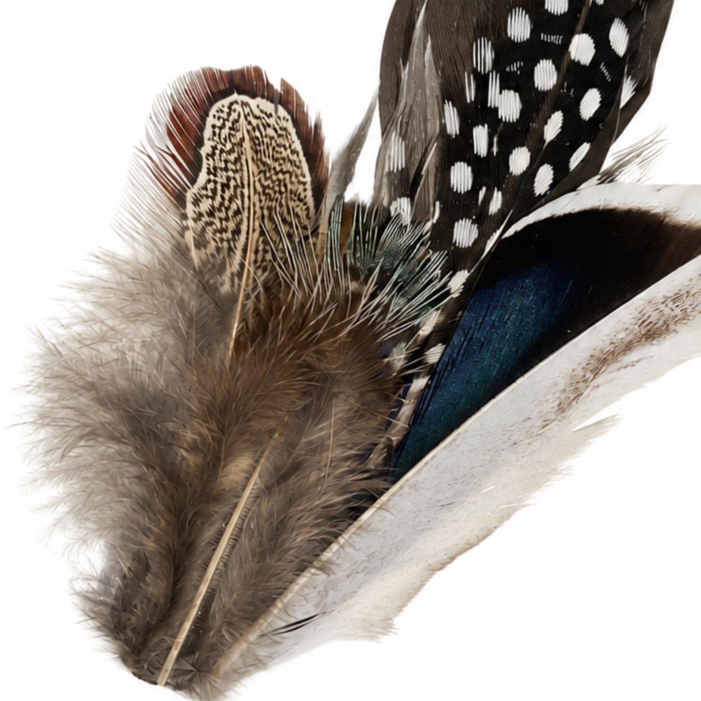 CLOVELLY  Natural Feather Hat Plume with Brooch Pin