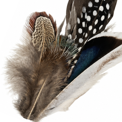 CLOVELLY  Natural Feather Hat Plume with Brooch Pin
