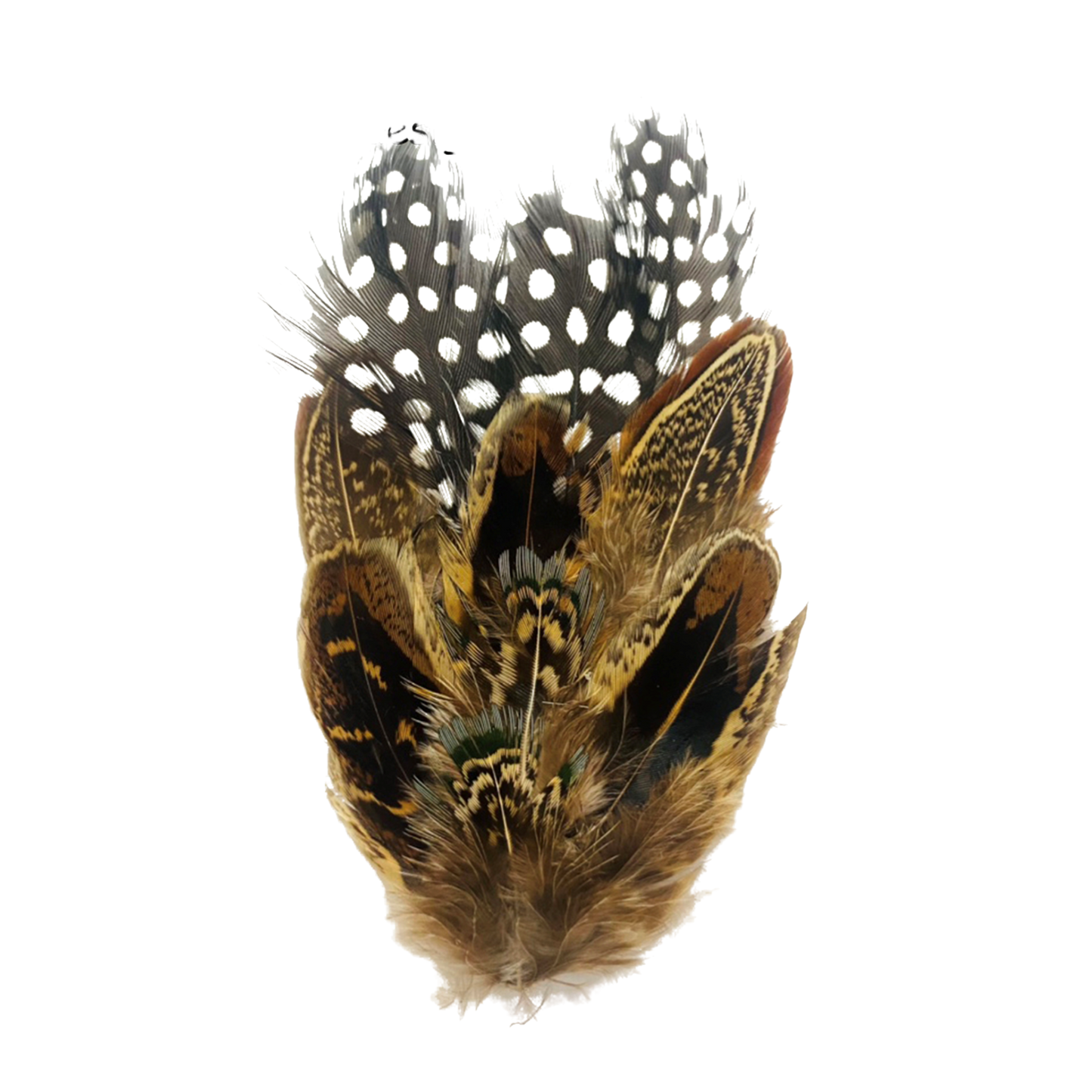 COOMBE Genuine Pheasant Feather Hat Plume with Brooch Pin