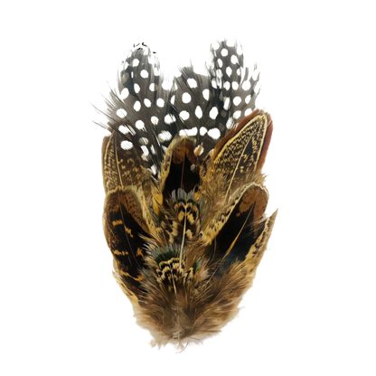 COOMBE Genuine Pheasant Feather Hat Plume with Brooch Pin