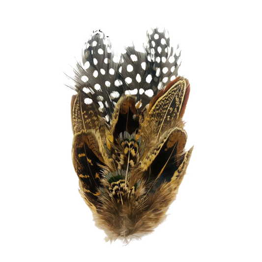 COOMBE Genuine Pheasant Feather Hat Plume with Brooch Pin