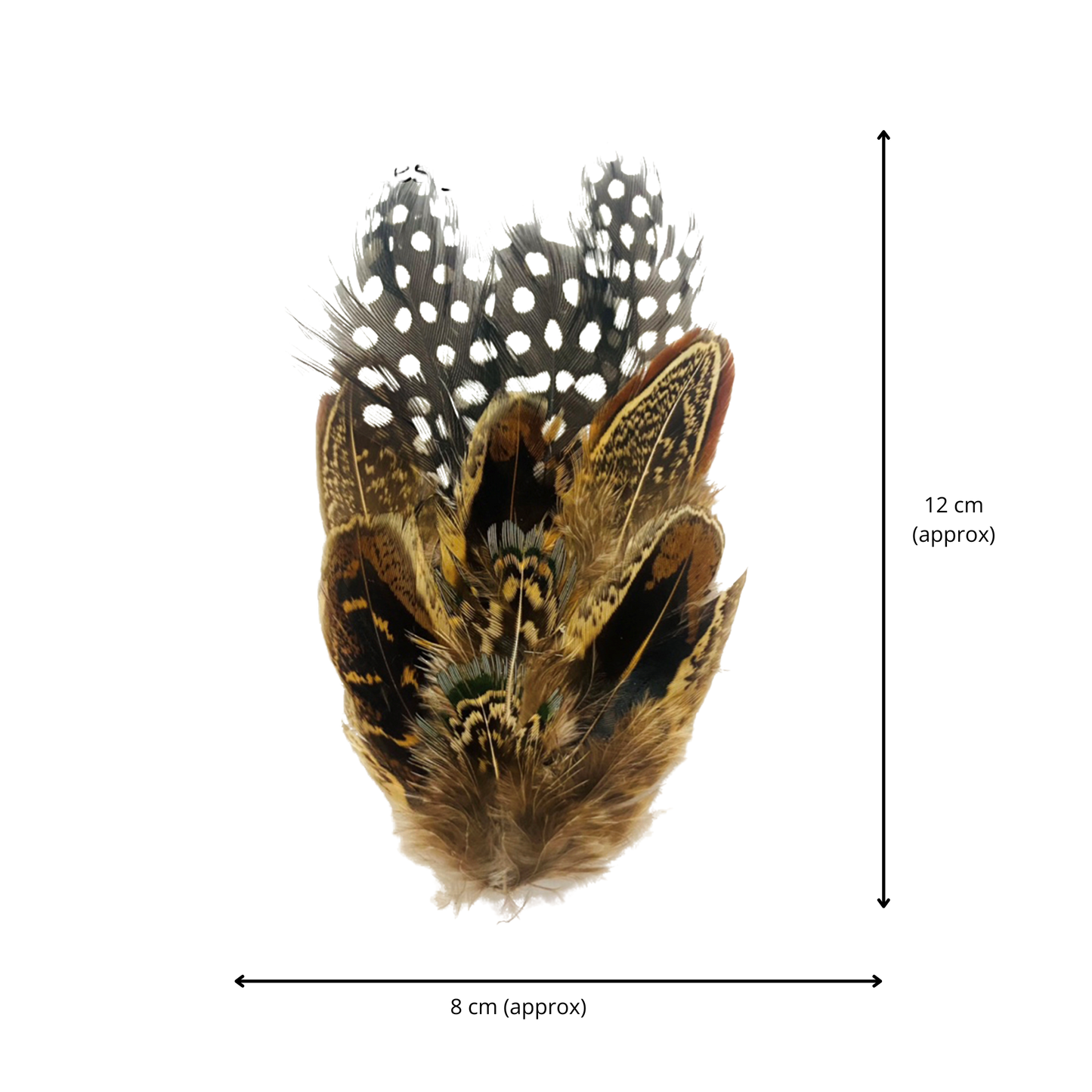 COOMBE Genuine Pheasant Feather Hat Plume with Brooch Pin