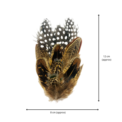 COOMBE Genuine Pheasant Feather Hat Plume with Brooch Pin