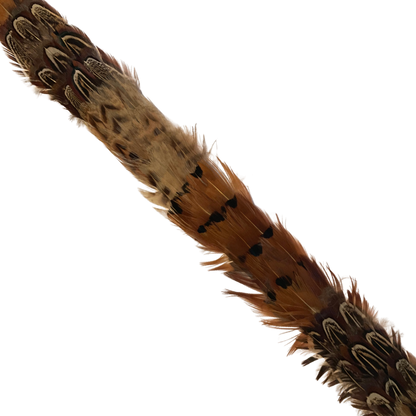DAWSON Pheasant Feather Hat Band - Fully Adjustable (hat not included)