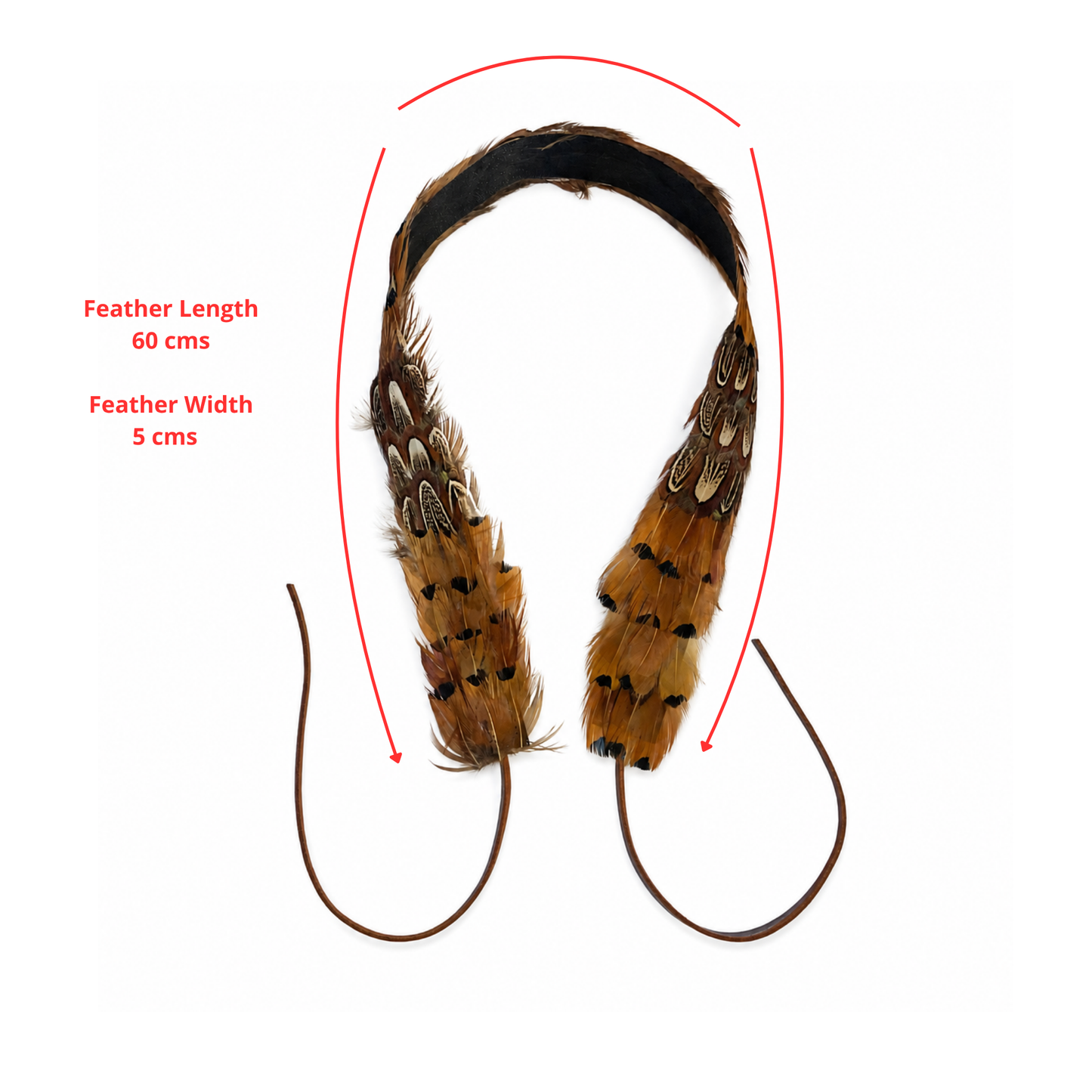 DAWSON Natural Feather Hat Band - Fully Adjustable (hat not included)