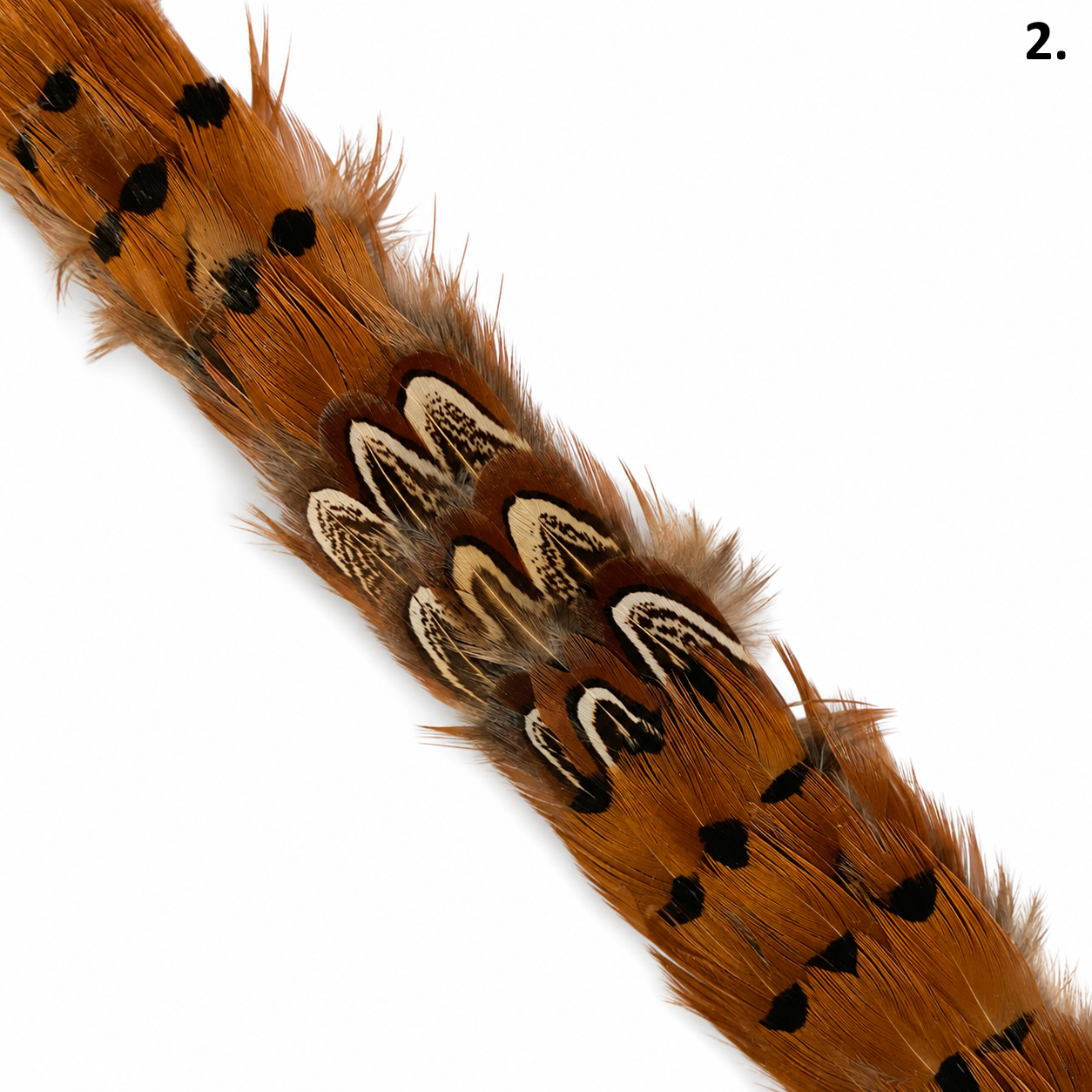 DAWSON Natural Feather Hat Band - Fully Adjustable (hat not included)