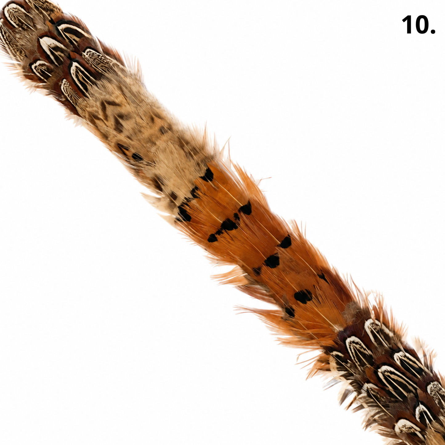 DAWSON Natural Feather Hat Band - Fully Adjustable (hat not included)