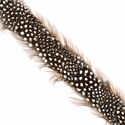 DAWSON Pheasant Feather Hat Band - Fully Adjustable (hat not included)